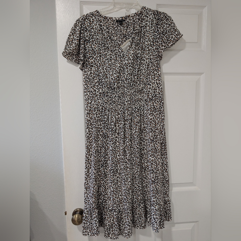 Talbots Chic Leopard Print Dress